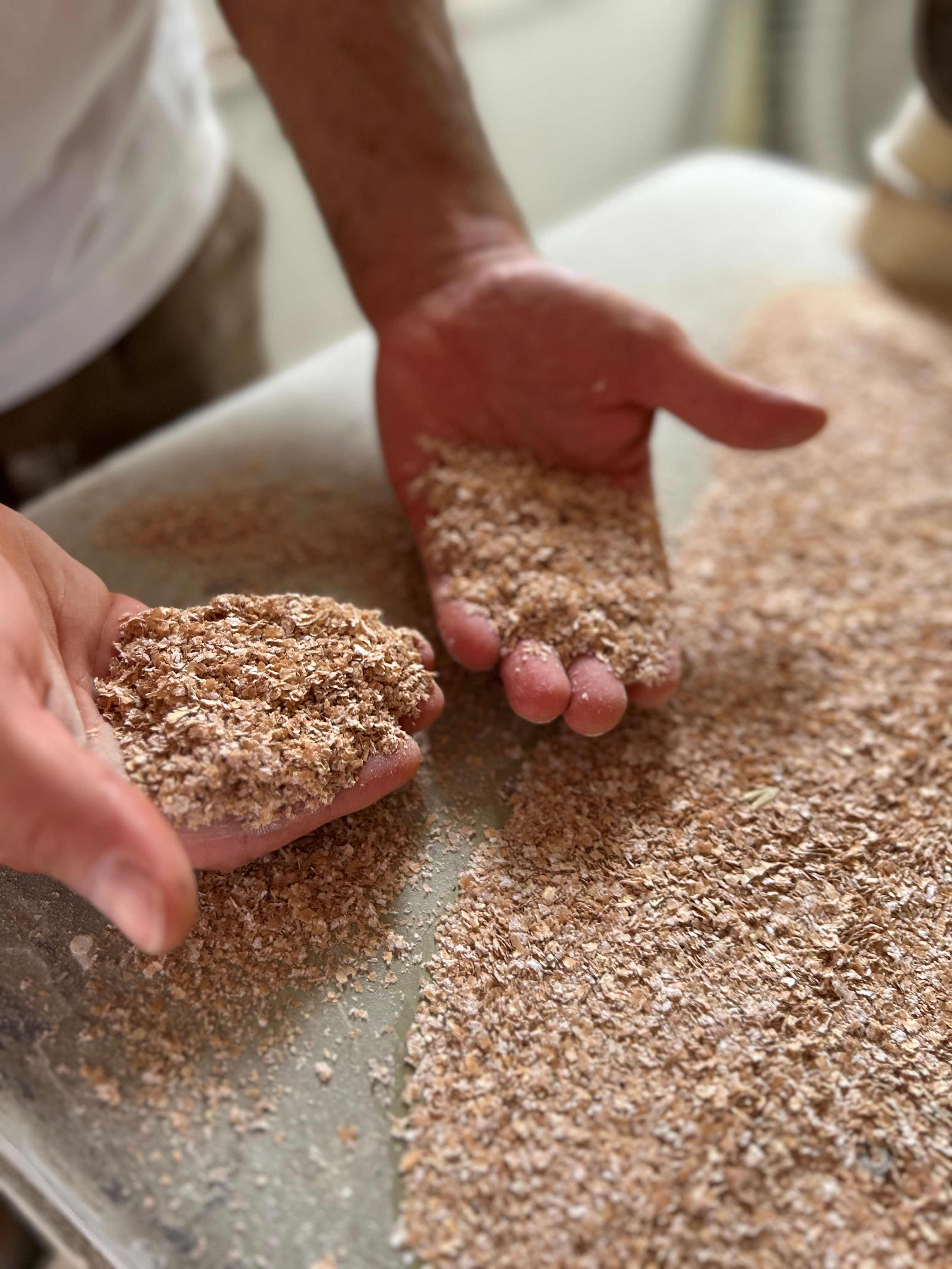 Avvio della produzione di farina per alimentazione umana nel 1993