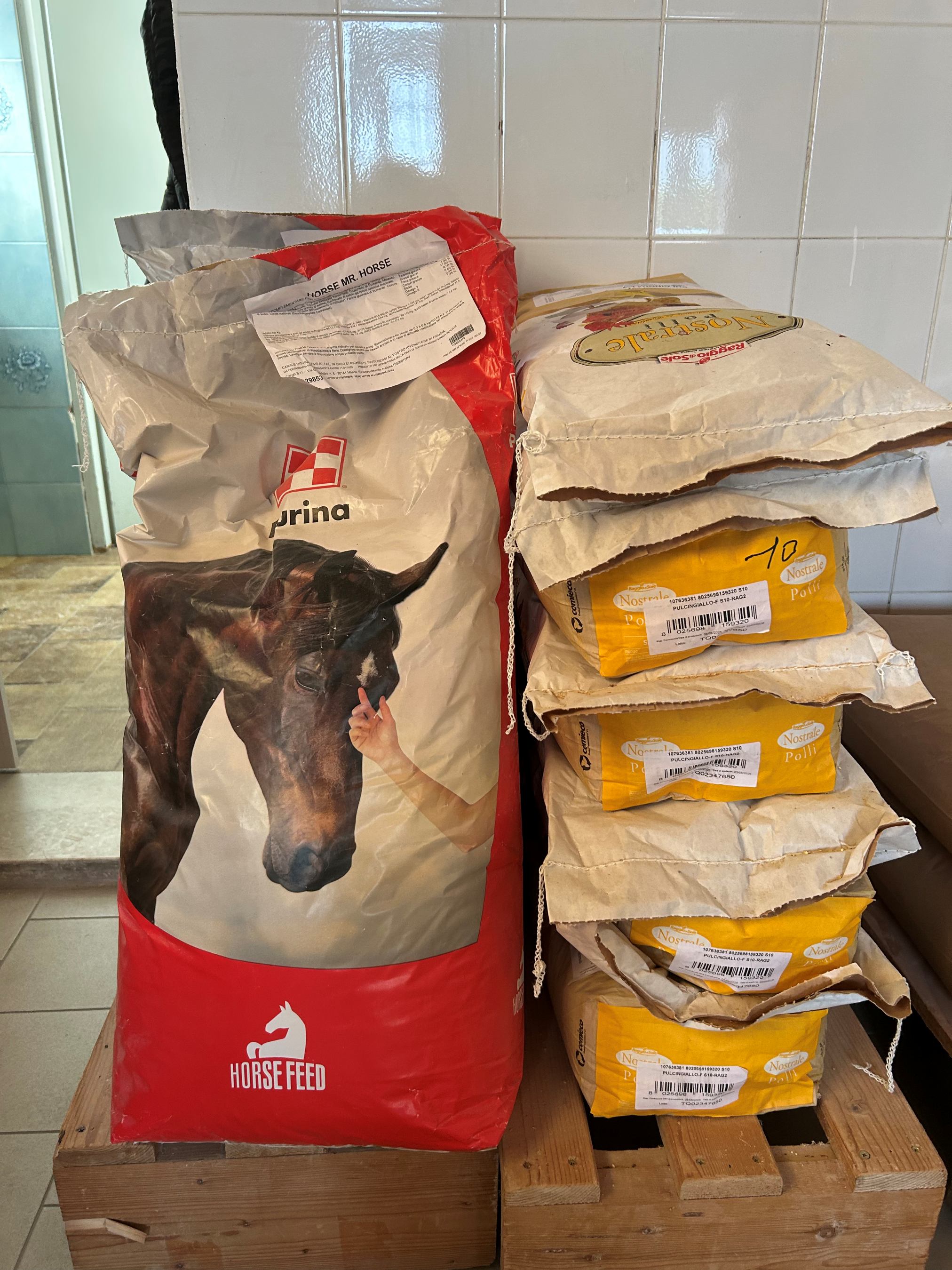 Alimenti per cani e gatti esposti nel punto vendita